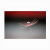 Trademark Fine Art - Maryam Zahirimehr Half A World Matted Framed Art - 3 of 4