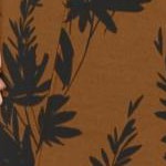 walnut brown leaf