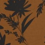 walnut brown leaf