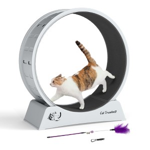 Sandinrayli Cat Wheel for Indoor Cats Exercise Running Wheel Cat Treadmill with Brake & Carpeted Runway - 1 of 4