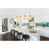 Elk Home Golden Pasture 1 - Light Pendant in  Satin Nickel - 4 of 4