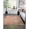 Liora Manne Inspirations Sarouk Indoor Area Rug Blush 3'9" x 5'7" - 2 of 4