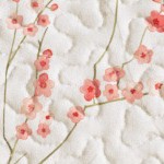 cherry blossoms