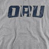 Oral Roberts University Official Distressed Primary Logo Adult Pull-Over Hoodie - 2 of 4
