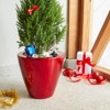 VisioGear 2-Pack Planter Pot for Indoor and Outdoor, Red - Round Cone Planter Pot with Support Base, Red, 10.2"*10.2"*9.4" - 4 of 4