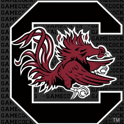 south carolina gamecocks
