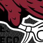 south carolina gamecocks