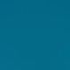 dragon fly teal