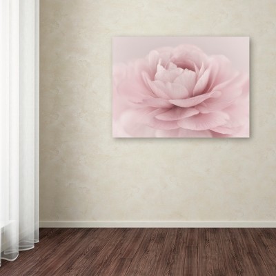 Soft Pink Rose Floral Framed Canvas Art 24'' x 32''