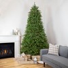 Northlight 9' Pre-Lit Rockwood Pine Artificial Christmas Tree, Multi Lights - 2 of 4