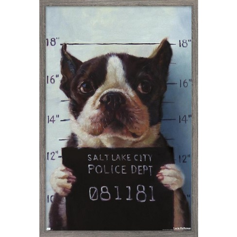 Trends International Lucia Heffernan Art - Boston Mug Shot Framed Wall Poster Prints - image 1 of 4