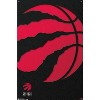 Trends International NBA Toronto Raptors - Logo 18 Unframed Wall Poster Prints - 4 of 4