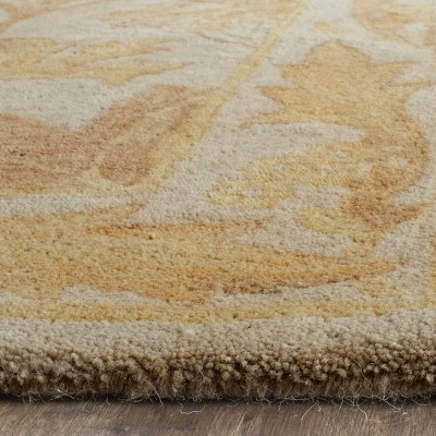 Antiquity Beige and Gold 6' x 9' Wool Area Rug