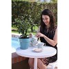 2.5qt Brew-Tea-Ful Plant - National Plant Network: Full Sun Camellia, 8" Nursery Pot, Live Houseplant - 3 of 4