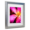 Trademark Fine Art - Rotem Ganor pink over yellow Matted Framed Art - 3 of 4