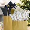 Wrapables Tissue Paper 20 x 28 Inch for Gift Wrapping, Arts & Crafts, Paper Flowers, Garlands, Tassels (60 Sheets), Black & Gold - 3 of 4