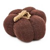 Gulches Series Multicolored Shatterproof Grid Pumpkin Harvest Festival Ornament - 2 of 4