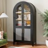 MAYEERTY 63 Tall Arched Storage Cabinet 5 Tier Glass Rattan Door Black - 3 of 4