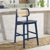 Luz Cane Counter Stool - BST1509 - Safavieh - 2 of 4
