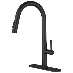 Single Handle Pull Down Sprayer Kitchen Faucet - 1 of 4