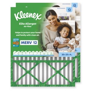 Elite Allergen Air Filter - 12 MERV RATING - 1 of 4