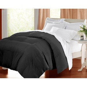 Full/Queen Microfiber Down Alternative Comforter Black - Blue Ridge Home Fashions