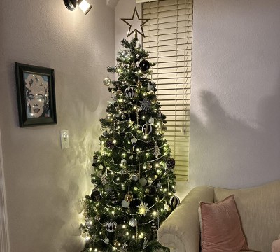 Guest review image 1 of 1, zoom in