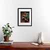  Deny Designs Hello Twiggs Terracotta Tulips Black Framed Art Print - 2 of 4