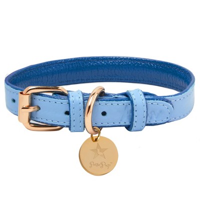 Poisepup – Luxury Pet Dog Collar – Soft Premium Italian Leather Padded  Adjustable Collar For Small, Medium And Large Dogs - Ocean Vibes : Target