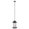 Queren 9.25" Outdoor Pendant - PLT7025 - Black - Safavieh - 2 of 4