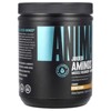 Animal Juiced Aminos - 6g BCAA/EAA Matrix plus 4g Amino Acid Blend for Recovery and Improved Performance - Orange - 30 Servings, 13.5 Ounce - 4 of 4