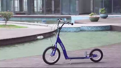 Green Adjustable Steel Frame Youth Kick Scooter with Dual Brakes