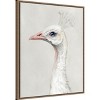 Amanti Art Alpine Peacock II by Grace Popp Framed Canvas Wall Art - 3 of 4