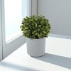 Unique Bargains Artificial Plants Plastic Green 3.54"x3.54"x5.91" 1 Pcs - 2 of 4