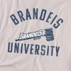 Men's Brandeis University Official Distressed Primary T-Shirt - 2 of 4