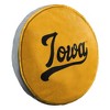NCAA Iowa Hawkeyes 15" Circular Cloud Pillow - 2 of 4