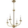 Craftmade Lighting 4 - Light Chandelier in  Brushed Polished Nickel/Satin Brass - 2 of 3