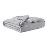 NicBex Twin/Twin XL Microfiber Reversible Cooling Blanket,Soft Cold Blanket for Bedroom - 3 of 4