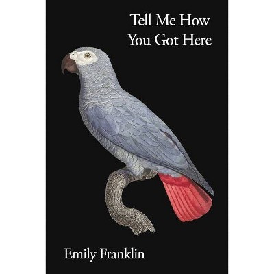 Tell Me How You Got Here - by  Emily Franklin (Paperback)