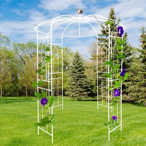 JUJABU Birdcage Shape Metal Garden Arch Gazebo 81.3" Dia x 114.2" High for Wedding Ceremony Cream White - 1 of 4