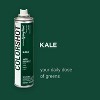 Colorshot Spray Paint Satin Kale 10oz 4pk Value Set Dark Green: Exterior Acrylic Paint & Primer, Fast Dry, 10000 Sq Ft Coverage - 3 of 4