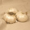 Van Zyverden 3ct Bulbs Allium Gladiator - 2 of 4