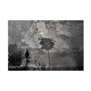 Trademark Fine Art Dalibor Davidovic  shadows splitting Canvas Wall Art - 1 of 4