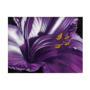Trademark Fine Art -Barbara Keith 'Amethyst' Canvas Art - 1 of 4