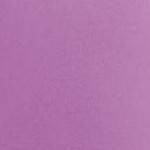 clear push pins bundle