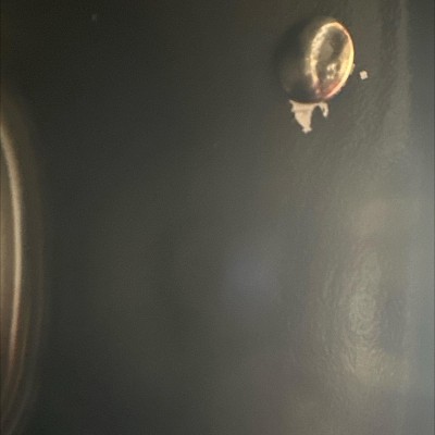 Guest review image 1 of 2, zoom in