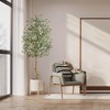 Plastic Olive Tree -Pole Olive Tree, Artificial Olive Tree, Decorative Olive Tree for Indoor Decor - 2 of 4