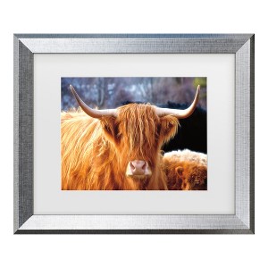 Trademark Fine Art - Nathan Larson Highland Cow Sunshine Matted Framed Art - 1 of 4