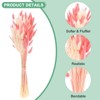 Unique Bargains Artificial Bunny Tails Dried Home Decor Realistic Pampas Grass 17 Inch 120 Pcs - 2 of 4