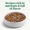 Nutro Grain Free Stew Wet Dog Food  - 12.5oz - 4 of 4